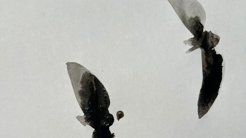 Saluti al giorno – Alessio Moitre – Roberto Necco