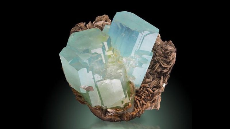 Visita guidata al Museo Regionale di Scienze Naturali