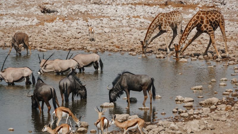 Equilibri tra acqua e natura