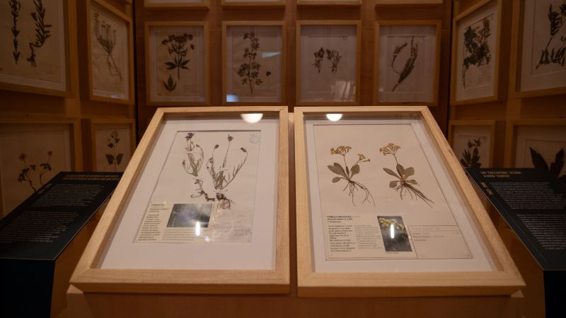 Visita guidata al Museo Regionale di Scienze Naturali