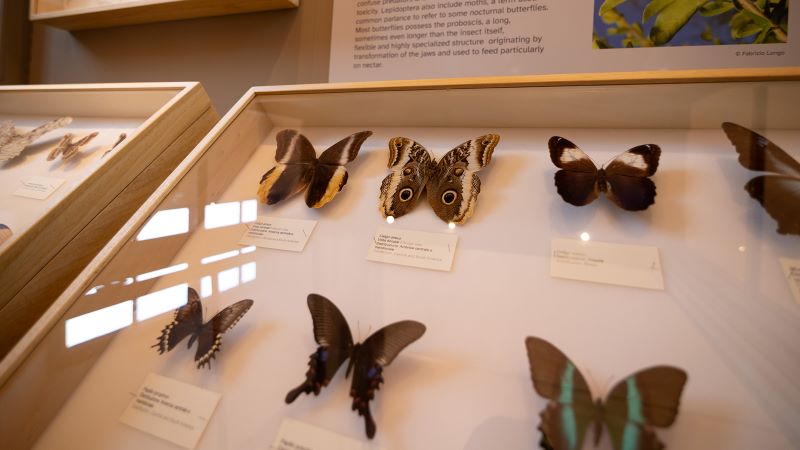 Visita guidata al Museo Regionale di Scienze Naturali