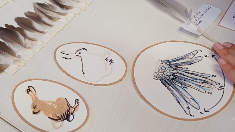 Mutamenti e metamorfosi. Fenomeni naturali e immaginari umani