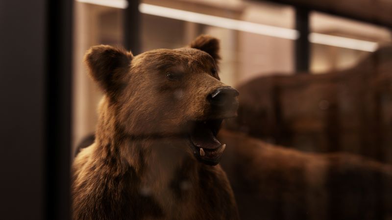 Visita guidata al Museo Regionale di Scienze Naturali