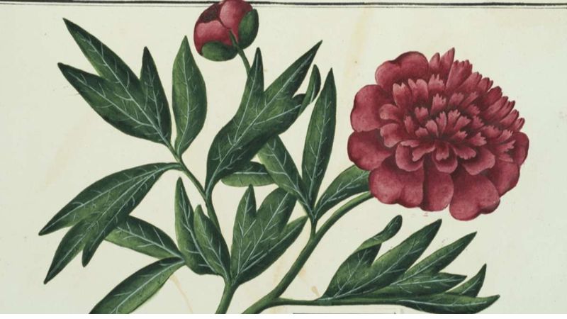 Giardini. L’arte di vivere la natura nel Settecento